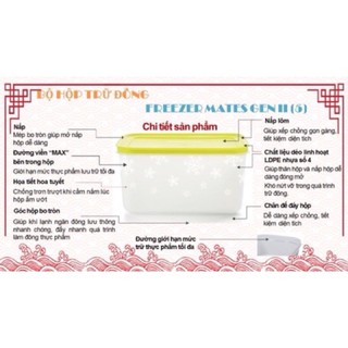 BỘ HỘP TRỮ ĐÔNG TUPPERWARE FREEZERMATE GEN II
