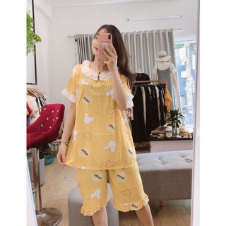 Bộ lửng bầu lanh lụa thái
