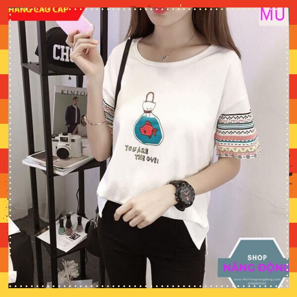 Áo Thun Nữ 🚀FREESHIP🚀 Áo phông nữ tay ngắn chất đẹp, thun cotton, mịn, mát, sành điệu in hình cá . Mã M07