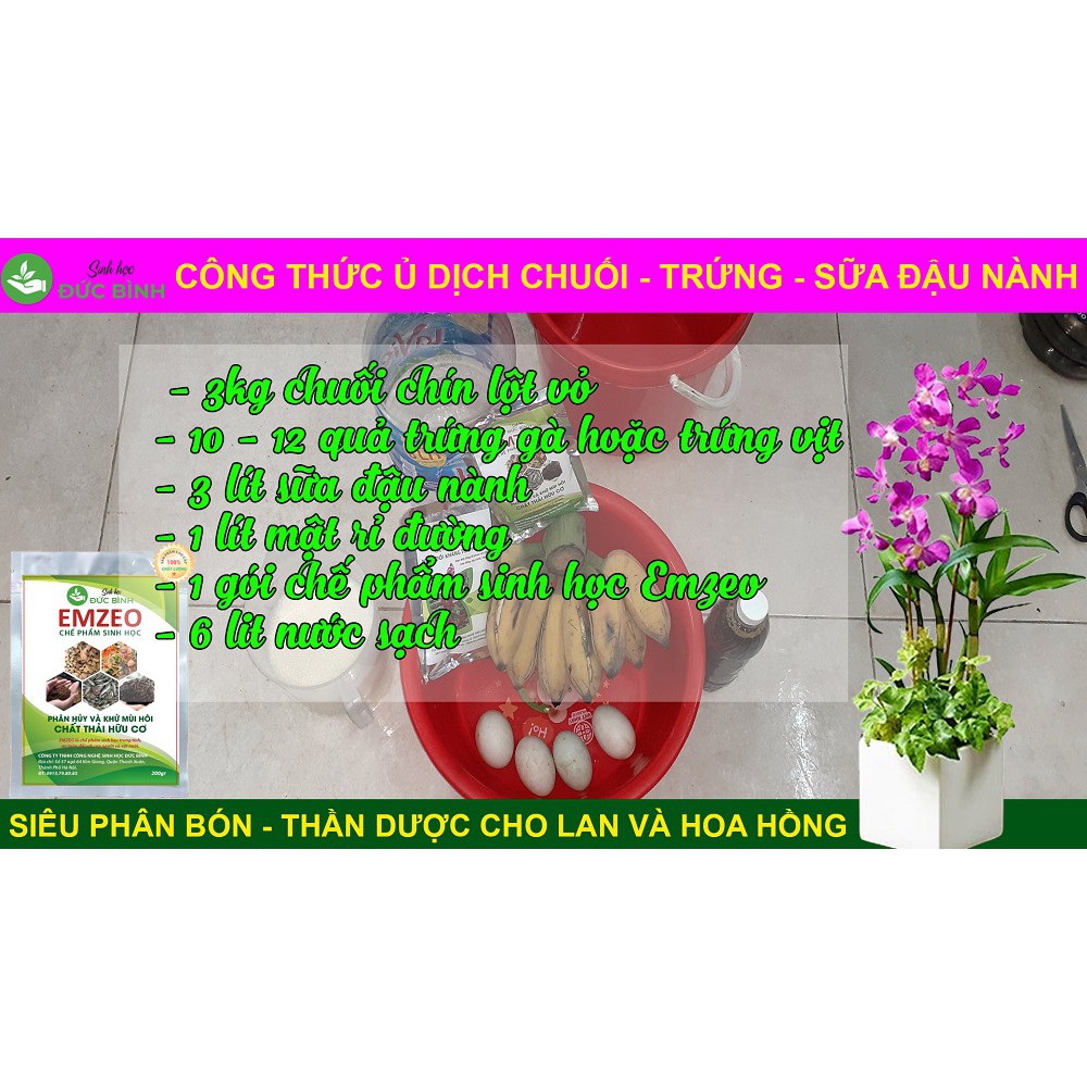 Chế phẩm EMZEO làm dịch chuối trứng gà sữa đậu nành tưới cho hoa lan, hoa hồng và rau quả