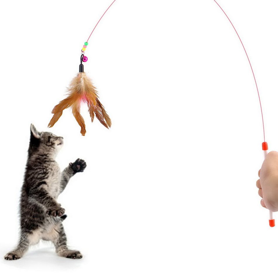 Đồ chơi gậy đính lông vũ và chuông vui nhộn dành chơi với mèo cưng
