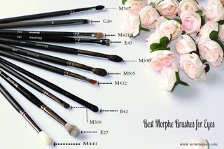 MORPHE - CỌ LẺ DÀNH CHO MẮT