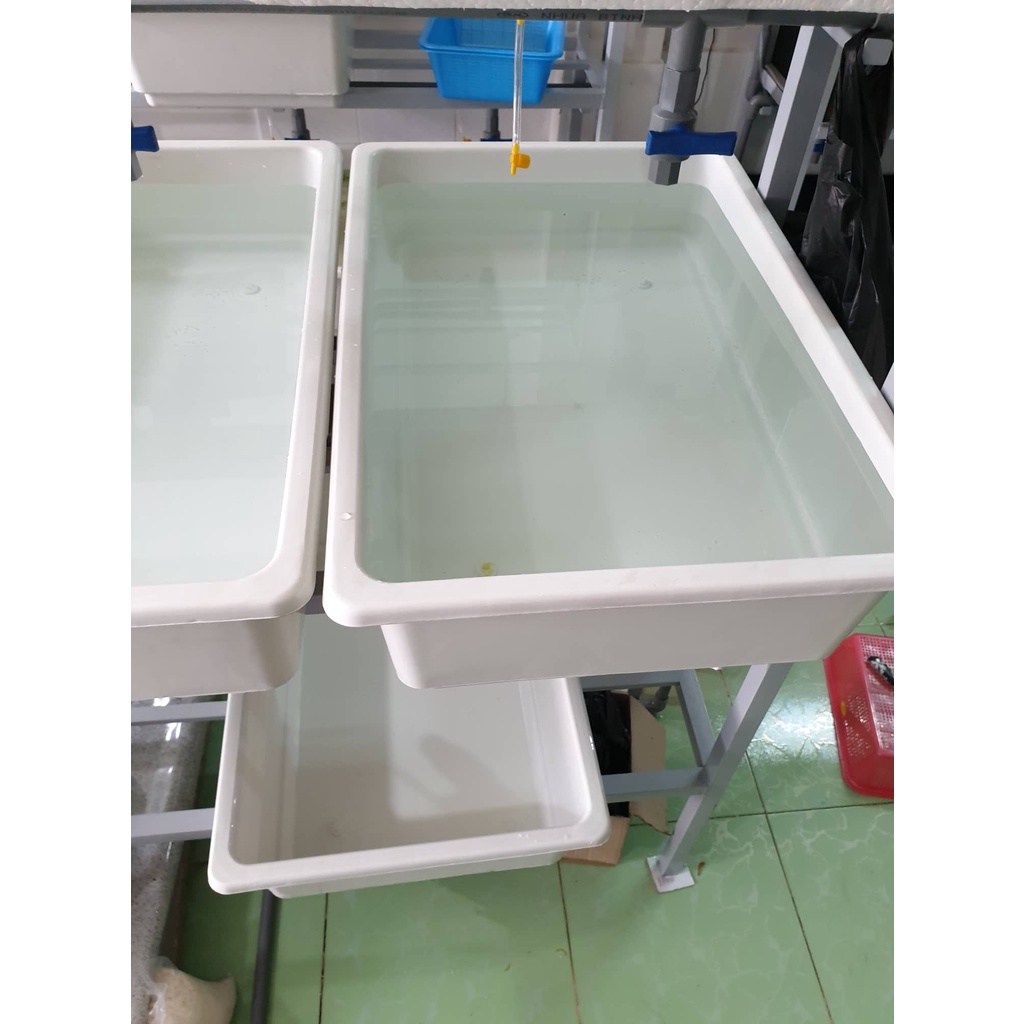 Khay Nhựa, Máng trồng rau, trồng cây đa năng - Chậu Nuôi Cá, Trồng Sen Nước, Cây Thủy Canh (64*42)