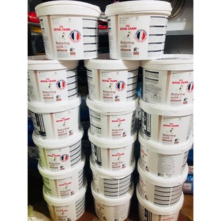 SỮA ROYAL CANIN