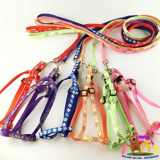 DÂY DẮT KÈM YẾM IN HÌNH CHO CHÓ MÈO 1.0