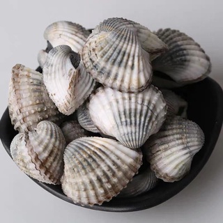 sò huyết tự nhiên