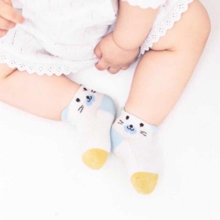 Sét 5 đôi tất lưới cổ thấp Kid's Socks