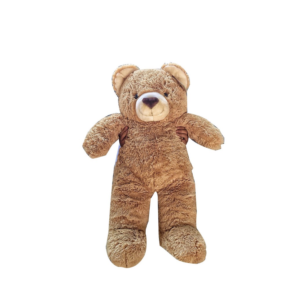 Gấu Bông Teddy Nhập Khẩu Thái Lan Cao Cấp  60cm Tặng Khăn len - Balo gấu