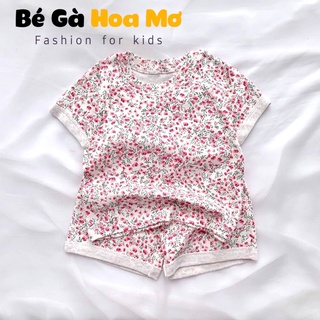 Bộ cộc BERNIE hàn