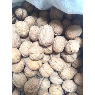 QUẢ ÓC CHÓ MỸ 500GR