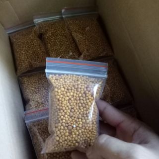 Phân vàng tan chậm Thái Lan 100g