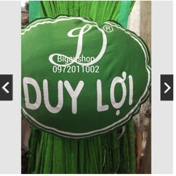 [Siêu Sale] Lưới Võng Xếp Duy Lợi kèm Gối - Cỡ lớn loại 18 lỗ - Không kèm khung | BigBuy360 - bigbuy360.vn