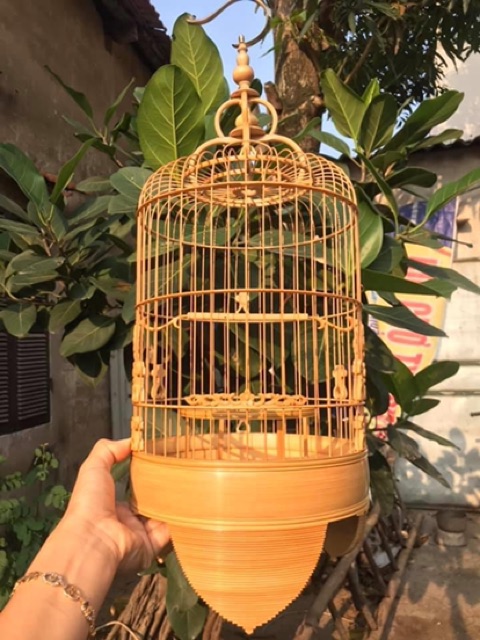 Lồng khuyên đẹp // chân trơn lá đề mix hoa dây Thủng