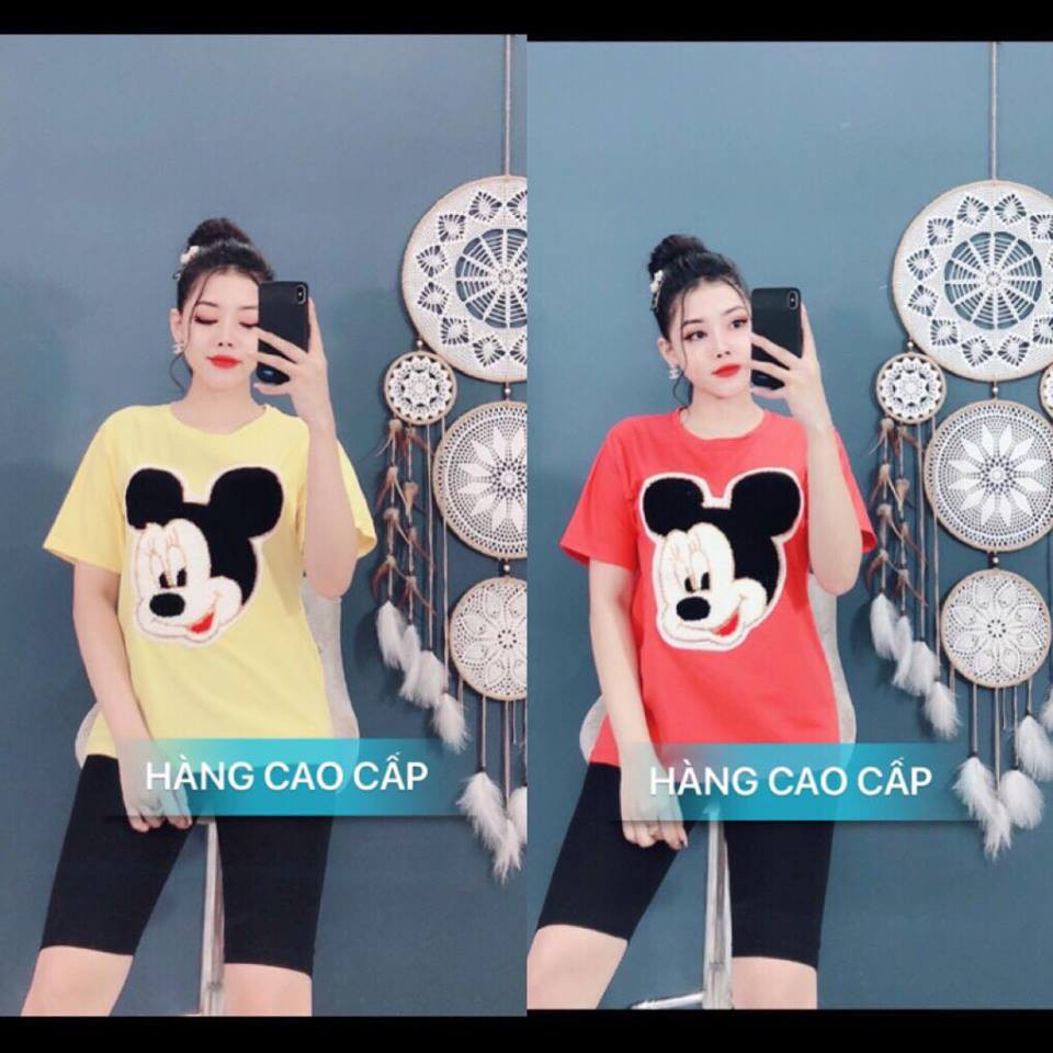 SÉT BỘ THỜI TRANG CAO CẤP ĐẦU CHUỘT LÔNG-SB82