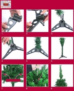 Cây thông noel