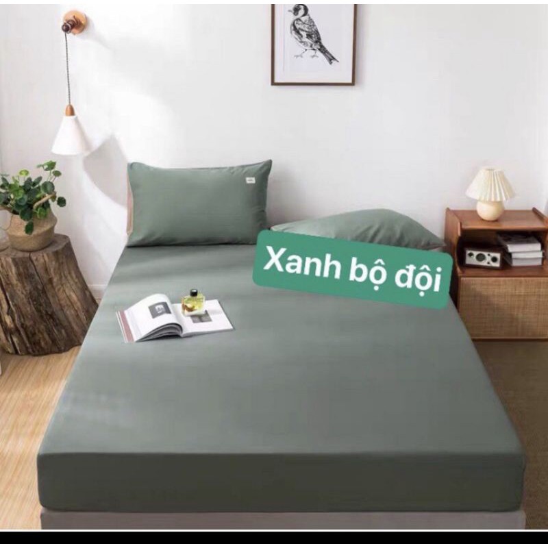 Bộ Ga Gối Cotton Tici Vải Nhập Mềm Mịn, Đủ Kích Thước, Màu Sắc (Shop Bo chun Miễn Phí Ga)