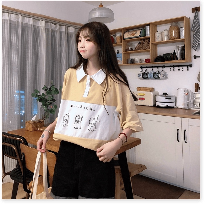 Áo thun nữ cổ bẻ form rộng tay lỡ mèo KUL