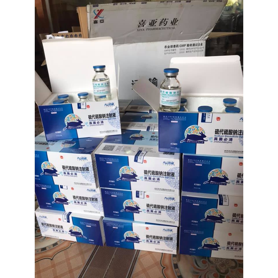 Thuốc nấm cho thỏ loại tiêm