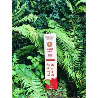 [Sỉ SLL] Hương Trầm Sạch -500gr