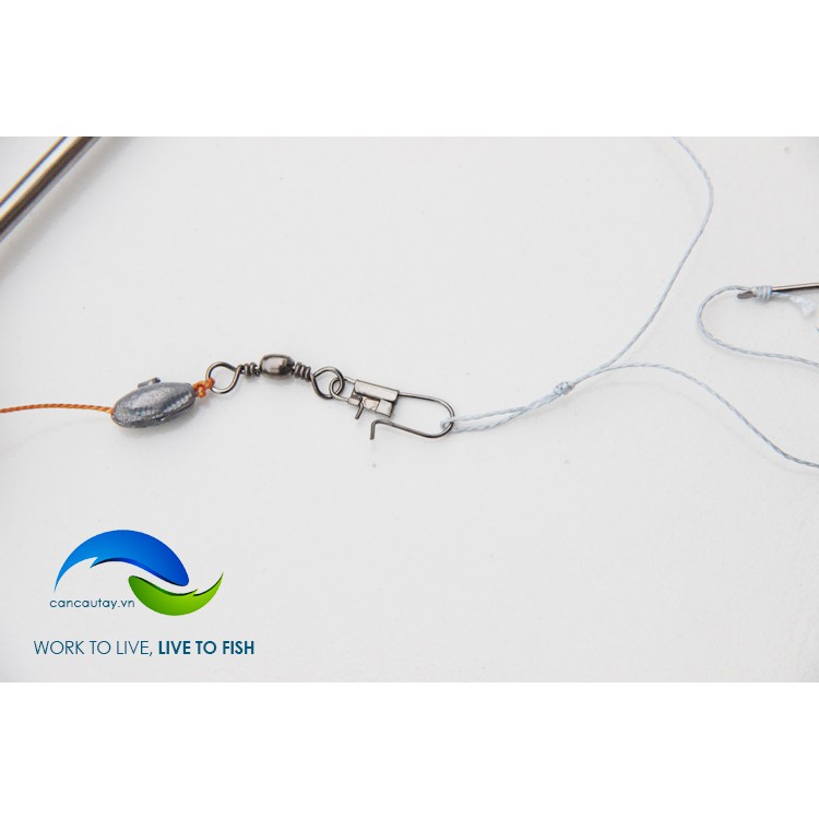 Bộ dây câu cá cắm qua đêm