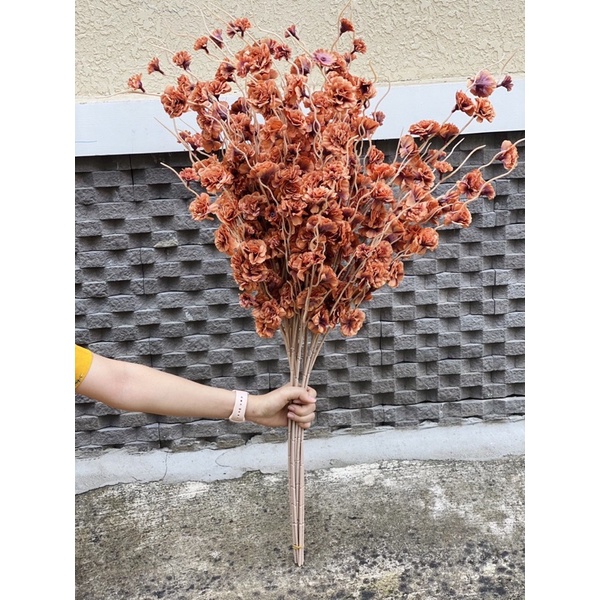 Cành hoa đào râu mẫu mới hàng Việt Nam