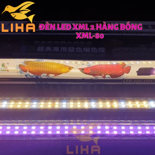 Đèn Led XML 2 Hàng Bóng XML-80 - Led Thủy Tinh Xuanmeilong Chuyên Dụng Cho Cá Cảnh