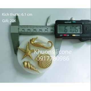 Khuôn silicon rau câu
