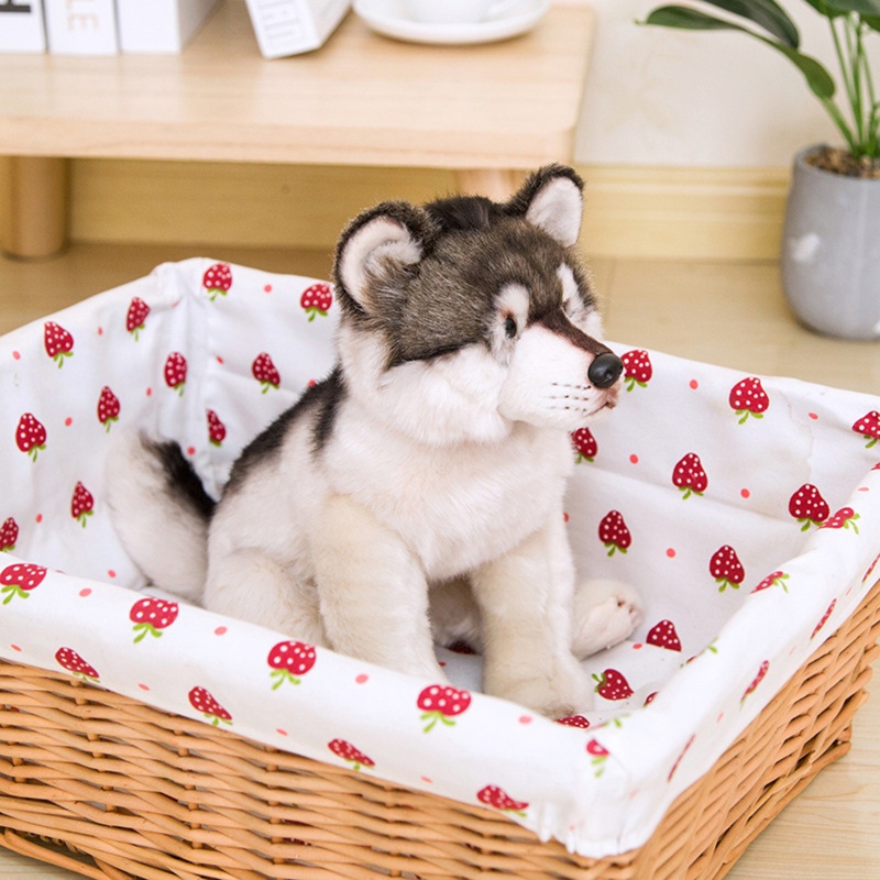 Chó Husky Nhồi Bông Mềm Mại Xinh Xắn