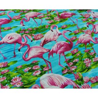 Vải thô cotton khổ 1m1 thấm hút tốt