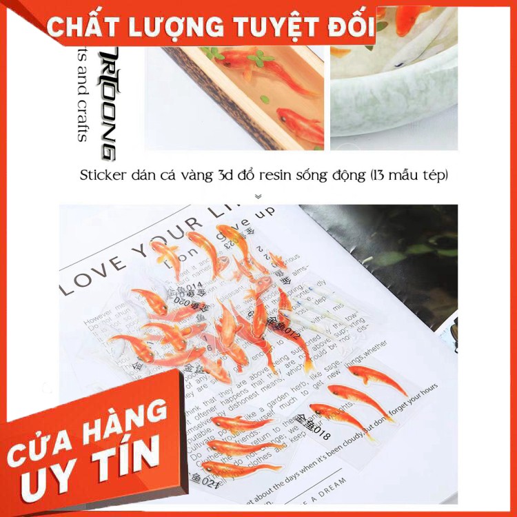 Sticker dán Cá vàng 3d- Vẽ tranh nghệ thuật Resin- CV001 - Hàng nhập khẩu