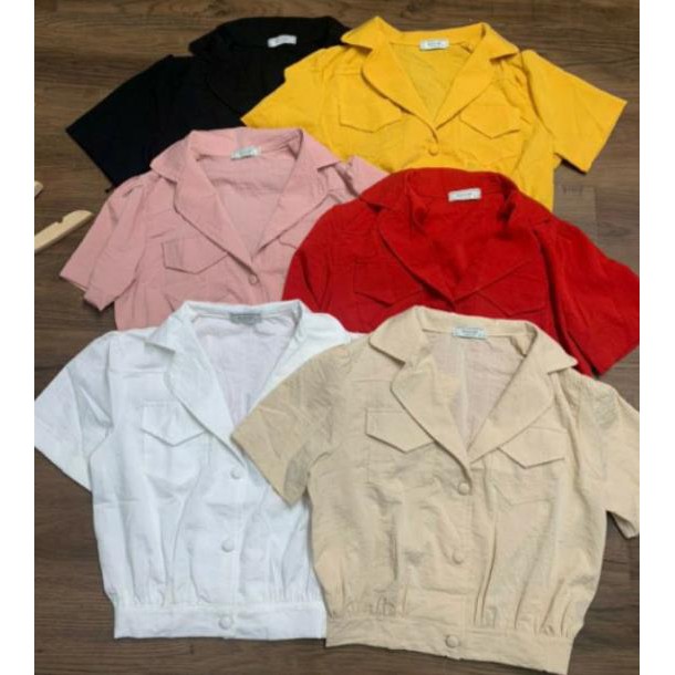 Áo cổ vest croptop - Áo sơ mi dág croptop xinhh