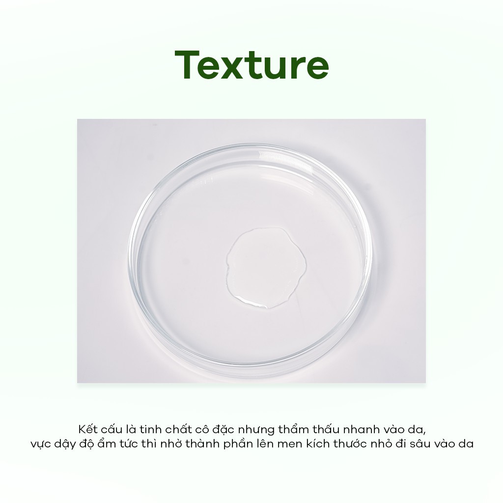 Tinh Chất Dưỡng Ẩm, Phục Hồi Da Zakka Naturals Chiết Xuất Tảo Biển Lên Men Fermented Sea Kelp Moisturizing Essence 300ml | BigBuy360 - bigbuy360.vn