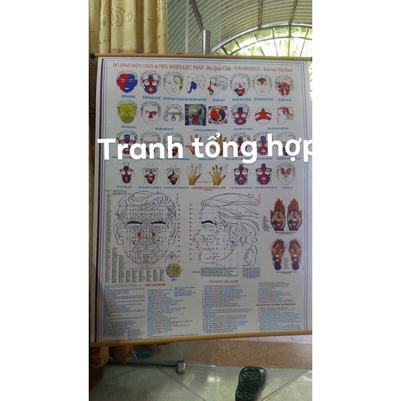 Diện Chẩn- TRANH TỔNG HỢP