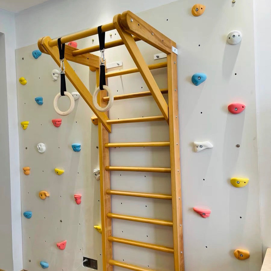 1 Tay Cầm Leo Núi / Leo Trèo Trong Nhà / Leo Núi Cho Trẻ Em