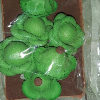 Túi, vỉ rau, củ, quả, cây hoa
