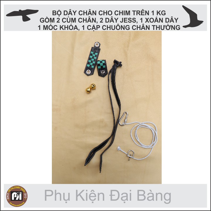 Bộ dây chân đại bàng ưng trống | BigBuy360 - bigbuy360.vn