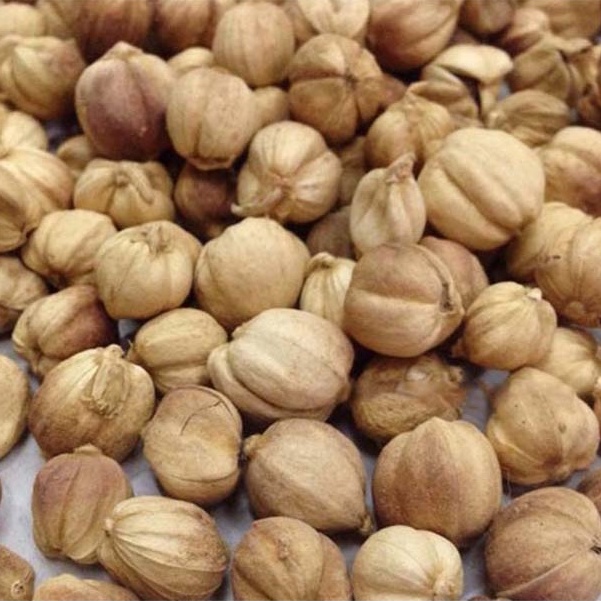 [100g-500g] Bạch đậu khấu trắng cay thơm  tốt cho sức khỏe, dùng nấu phở, lẩu cay Tứ Xuyên