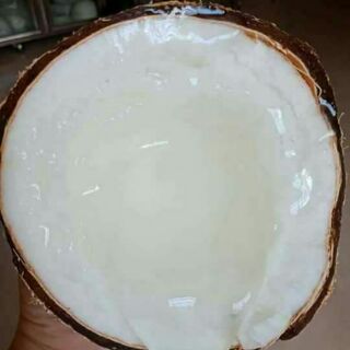 Dừa Sáp Lỏng 3 Cầu Kè-Trà Vinh