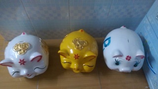 Heo bỏ ống