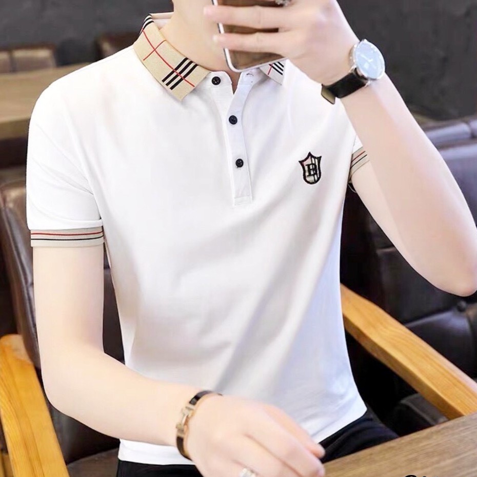 Áo thun nam cổ bẻ thêu họa tiết trang nhã vải cotton co giãn | BigBuy360 - bigbuy360.vn