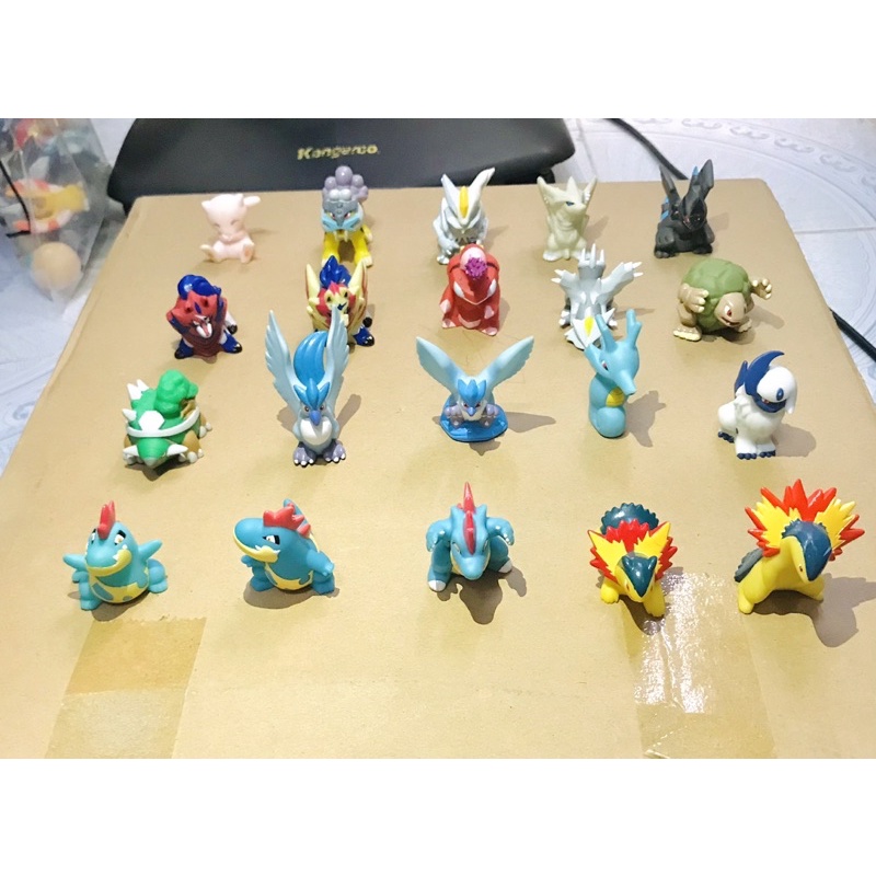 Pokemon kid bandai