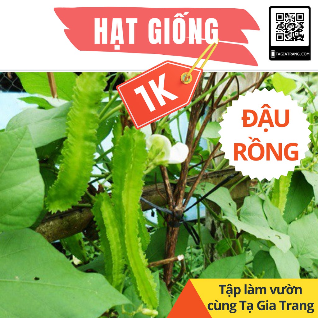 Deal 1K - Gói hạt đậu rồng (Đậu khế) cao sản - Cùng tập làm vườn với Tạ Gia Trang