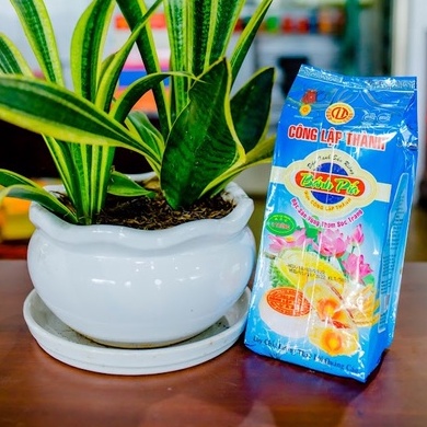 Bánh pía 2 trứng đậu xanh sầu riêng đặc biệt Công Lập Thành đặc sản Sóc Trăng