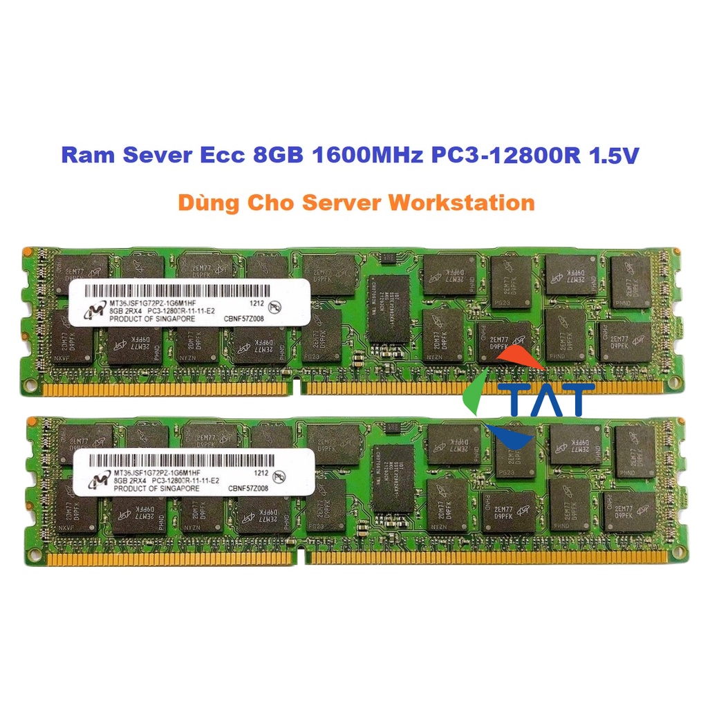 Ram ECC Micron 8GB DDR3 1600MHz PC3-12800R 1.5V Registered Dùng cho Server Workstation