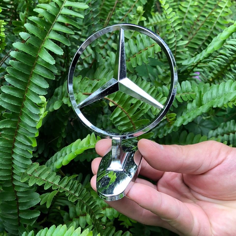 Đứng Phía Trước Đứng Đứng Đứng Logo Đứng Đứng Đứng Phía Trước Đứng Đứng Tiêu Chuẩn Đứng Phía Trước Đứng Đứng Đứng Đứng Đứng Phía Trước Xe Hơi