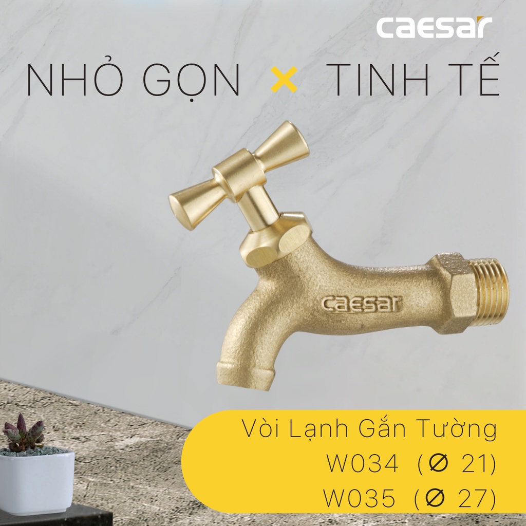 Vòi Lạnh Gắn Tường - W035