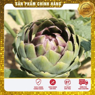 Hạt Giống Atiso Xanh - 4 Hạt