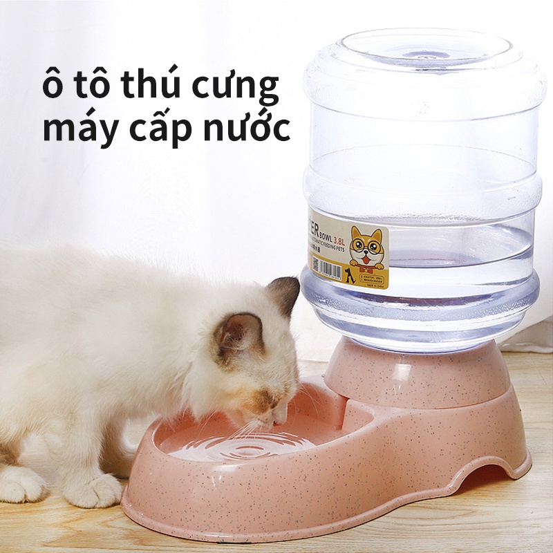 Domicoo Máy lọc nước cho thú cưng dung tích lớn 3.8L cho vật nuôi ăn thức ăn tự động cho chó bú bát cho thú cưng