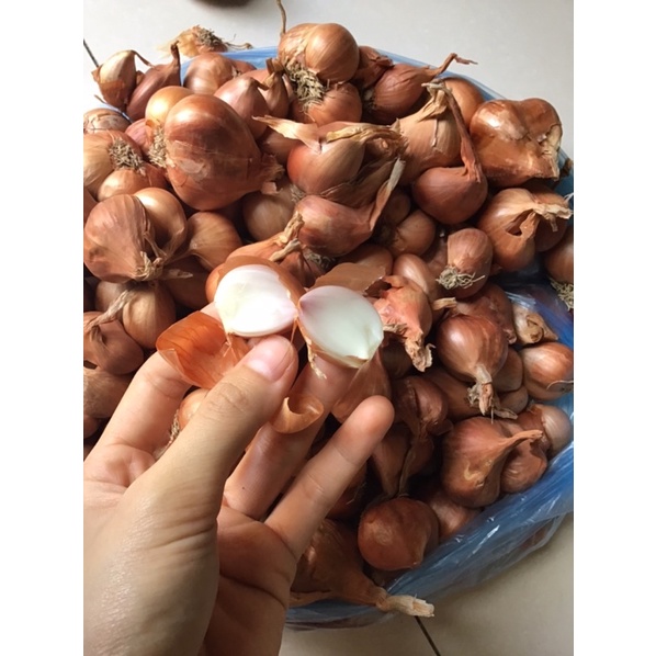 500g Hành Khô củ to đều thơm ngon - hành khô loại 1