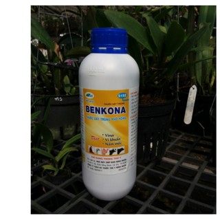 Thuốc Diệt khuẩn BENKONA